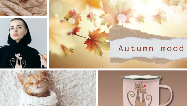 Entdecke unsere Herbst Kollektion